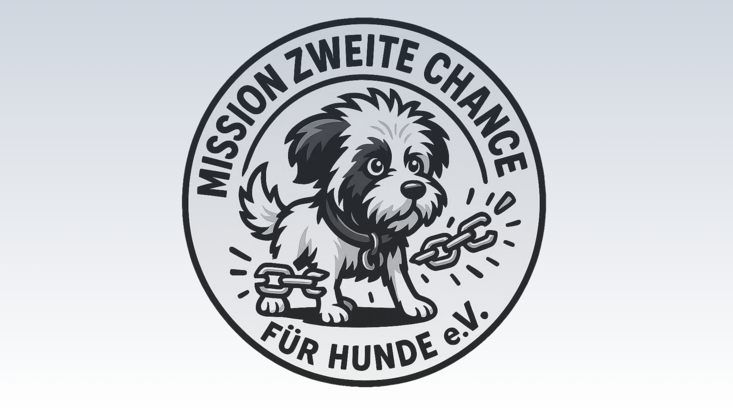 Wissen & Einblicke aus der Mission: Zweite Chance für Hunde