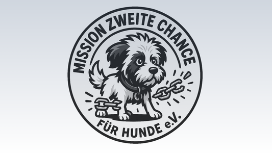 Wissen & Einblicke aus der Mission: Zweite Chance für Hunde