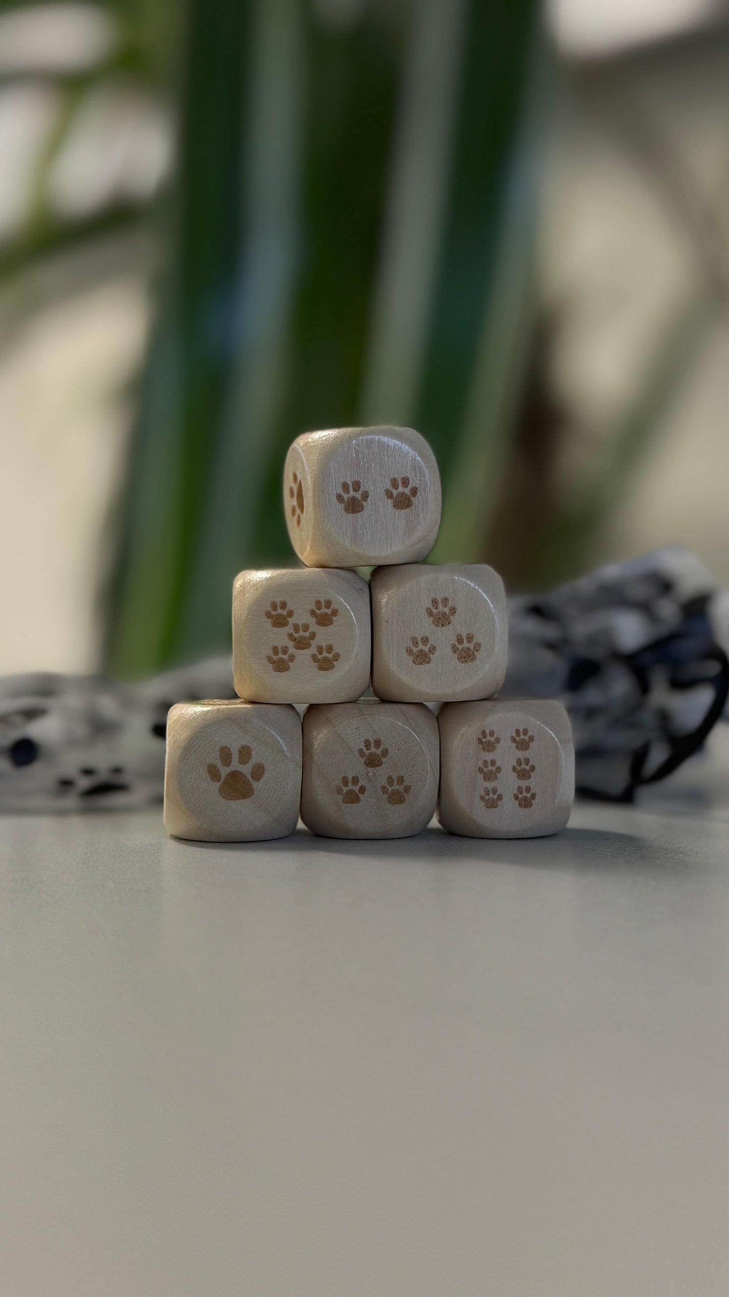 Holz-Pfotenwürfel – Unterstütze Hunde mit jedem Wurf