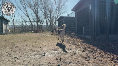 Praxiswoche - Dabei sein. Mitwirken. Spüren.