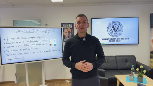 Wissen & Einblicke aus der Mission: Zweite Chance für Hunde